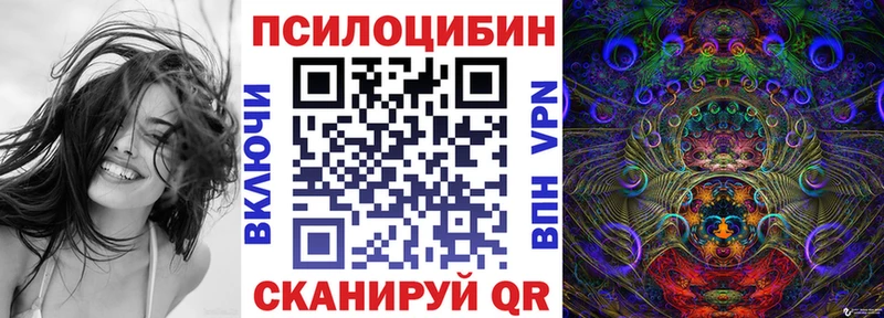 продажа наркотиков  Стерлитамак  Галлюциногенные грибы Cubensis 