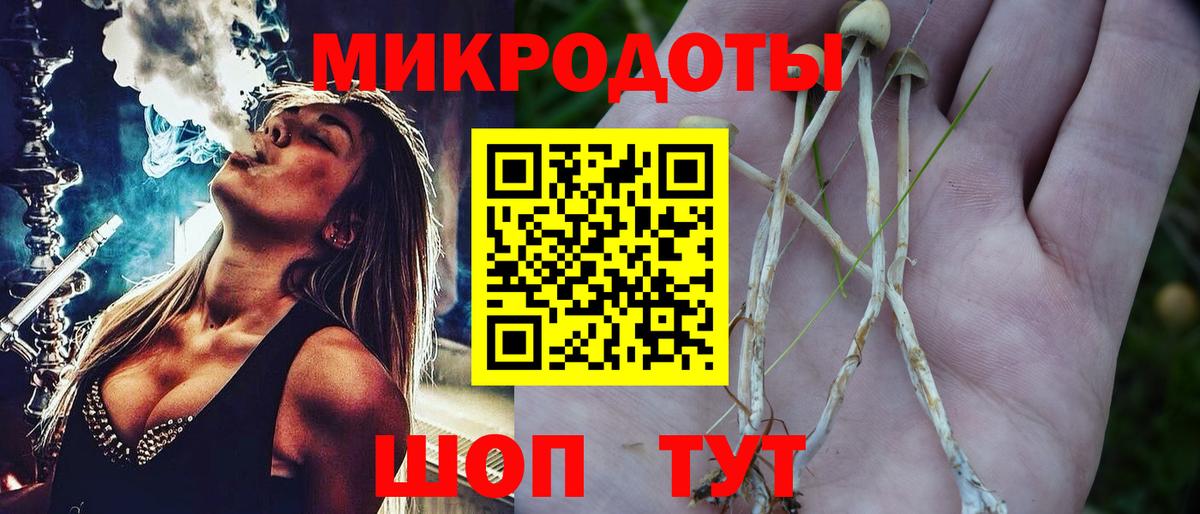 Галлюциногенные грибы GOLDEN TEACHER Стерлитамак