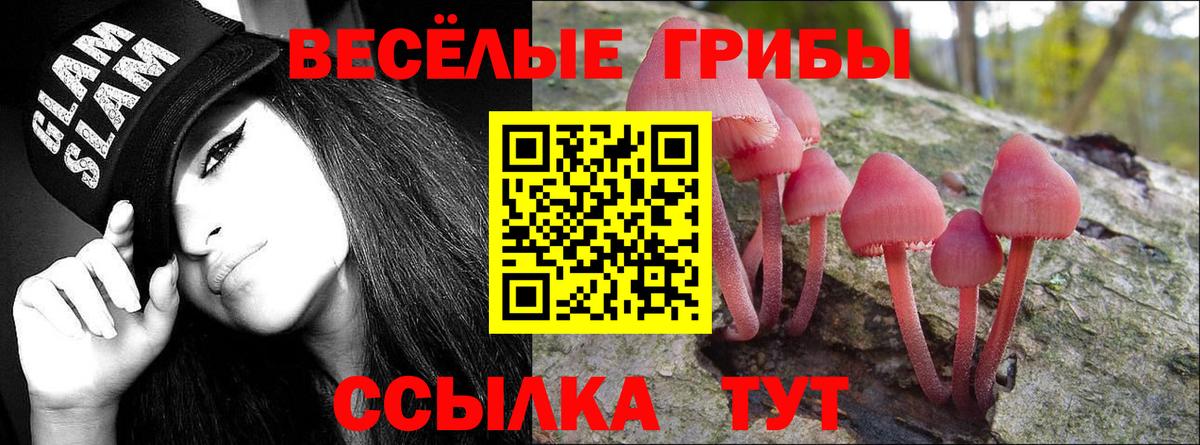 Псилоцибиновые грибы Psilocybine cubensis Стерлитамак