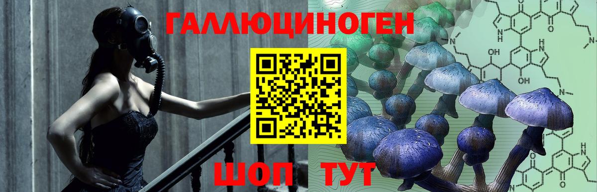 Псилоцибиновые грибы Magic Shrooms  Вход с VPN  Псилоцибиновые грибы Psilocybe  Стерлитамак 